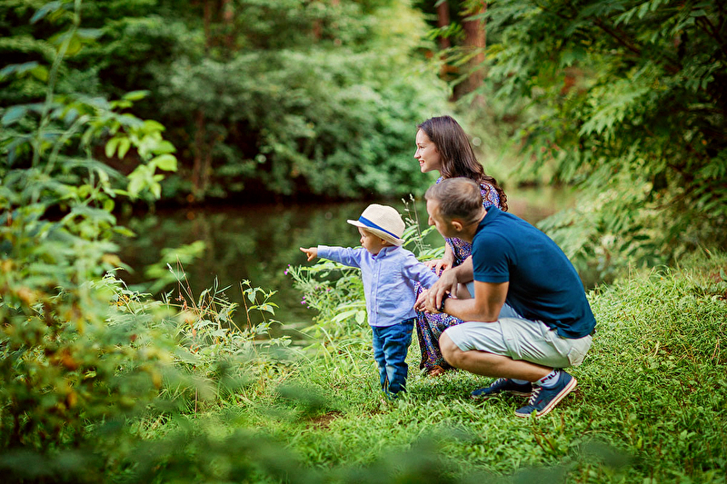 СЕТЕВОЙ СУПЕРМАРКЕТ, ПВЗ OZON и Wildberries, инфраструктура, СПА-зона у Природного Заповедника<br>
